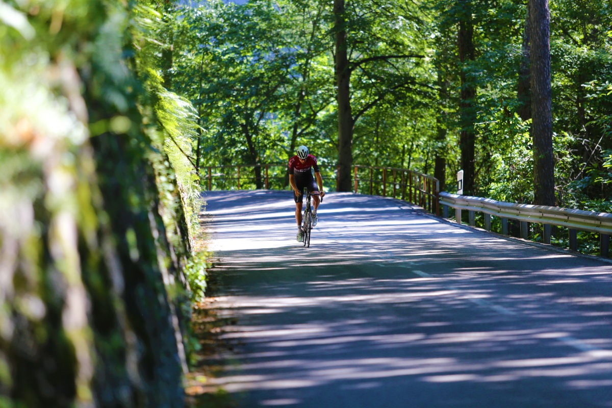 IMG 3466